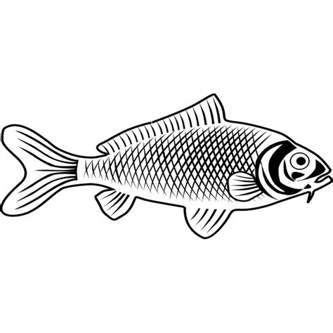 Fish line art | Free SVG