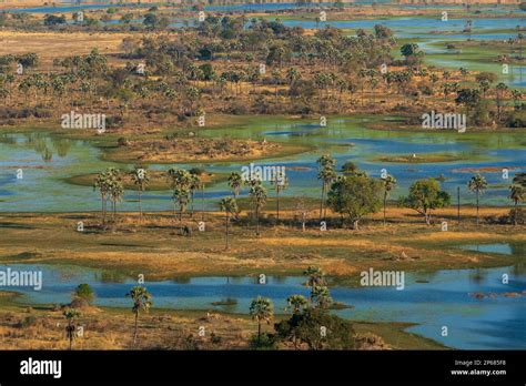 Aerial view of the Okavango Delta, UNESCO World Heritage Site, Botswana, Africa Stock Photo - Alamy