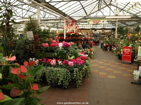 Holly Bush Garden Centre | OnePronic