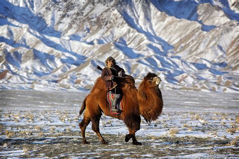 The 2024 Gobi Desert Guide