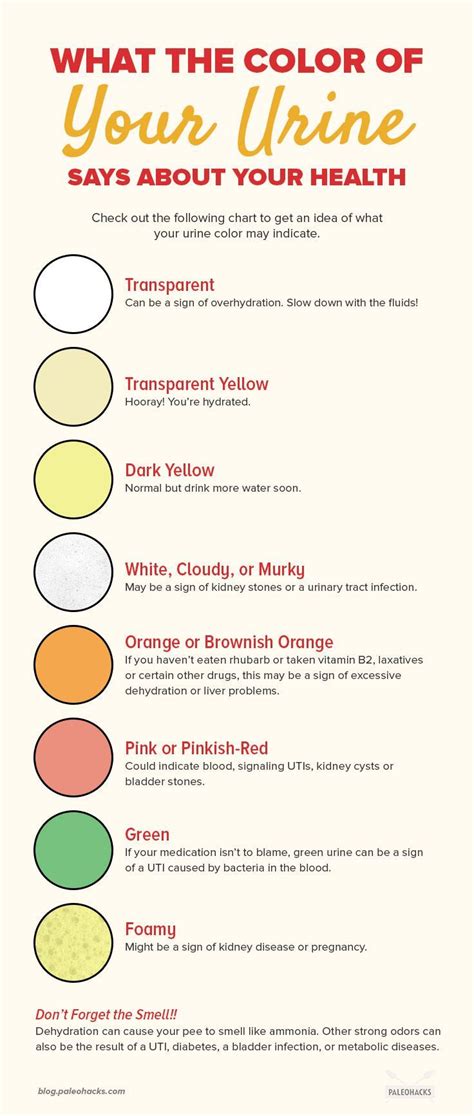 urine color chart and meaning in 2020 color of urine nursing - this urine color chart explains ...