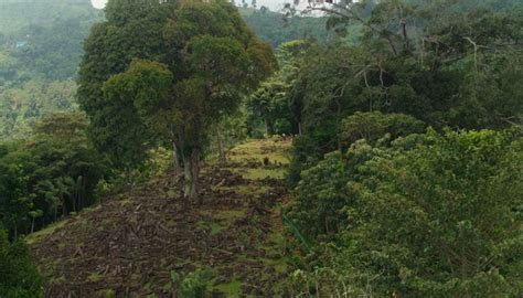 Gunung Padang: Where is it Located? How Old is it? How to Get There?