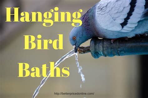 Hanging Bird Bath Better Priced Online