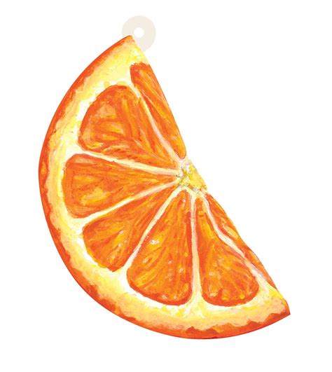 how to draw orange slices - dulcehenoop