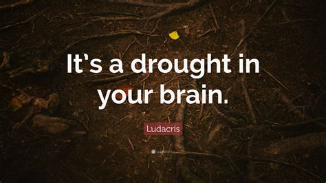 Ludacris Quote: “It’s a drought in your brain.”