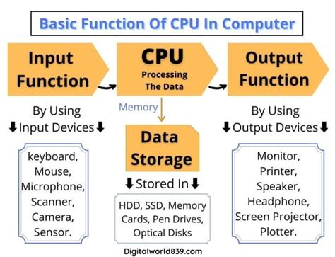 Types of Central Processing Unit, 6 Types of CPU Processors | Central ...