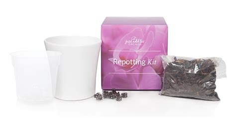 Repot Your Phalaenopsis Orchid Easily with our New Repotting Kit