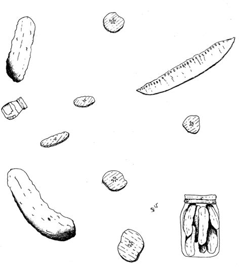 Pickle Drawing at GetDrawings | Free download