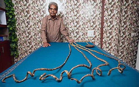 India's Shridhar Chillal sets Guinness World Record with 909.6cm long fingernails on one hand ...