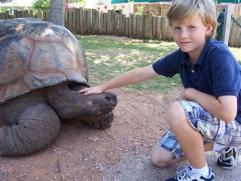 giant tortoise | Aldabra Tortoise | Reptile Gardens