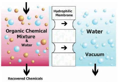 The schematic diagram of membrane pervaporation. | Download Scientific Diagram