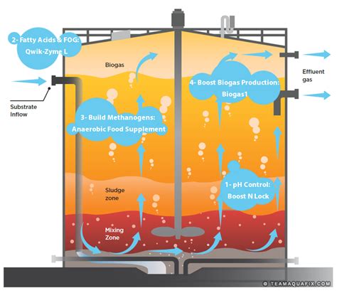 Anaerobic Digester Foaming