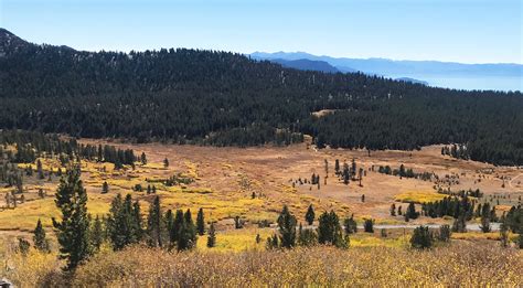 Tahoe Meadows | Nevada Land Trust