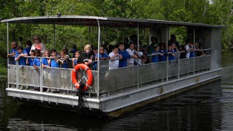 Jean Lafitte Swamp & Bayou Boat Tour from New Orleans