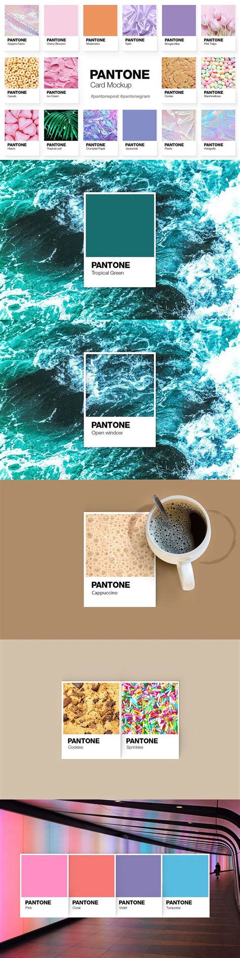 Pantone Color Cards Mockup | Color card, Pantone color, Color of the day