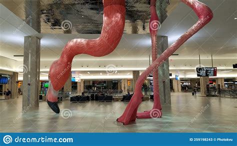 Flamingo Decoration in Tampa International Airport Terminal Editorial ...