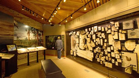 Plant wall exhibit inside the visitor center at Fossil Butte National ...