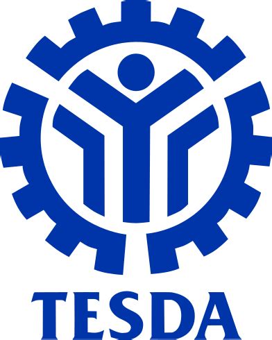 Informatics Consolacion Cebu student wins Silver Award at the TESDA ...