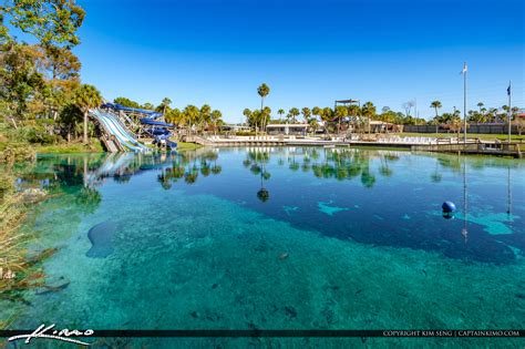 Weeki Wachee Springs State Park Blue Sping Waters Under the Shad | HDR Photography by Captain Kimo