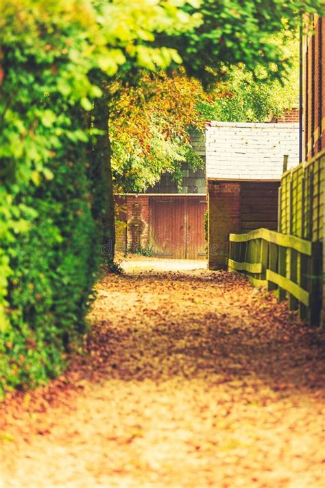 Peaceful Path in Autumnal Forest or Park Stock Photo - Image of plants ...