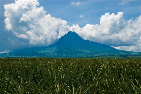 Mount Matutum - Alchetron, The Free Social Encyclopedia