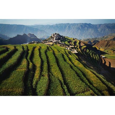 The terraces of Yemen have been used for growing crops since 3000 BCE ...