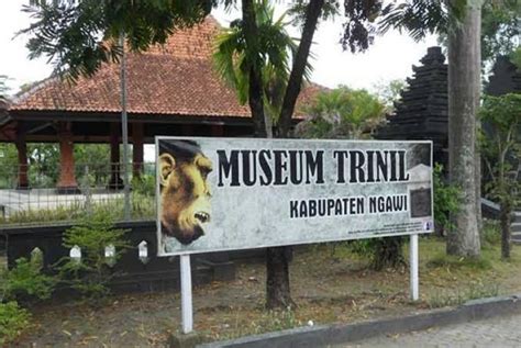 Museum Trinil – Idsejarah