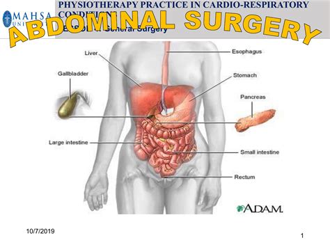 4. ABDOMINAL SURGERY(3)