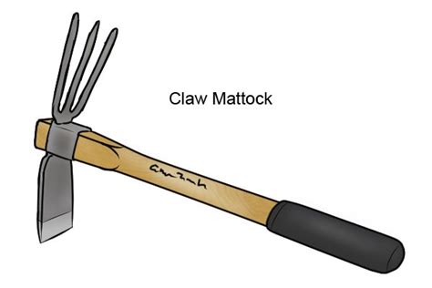 What are the different types of mattock head? - Wonkee Donkee Tools