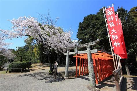 Taste of Kumamoto - Japan Shore Excursions