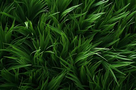 Premium AI Image | grass pattern