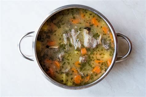 Homemade Meat Stew Beef Rip Soup with Vegetables in Pan. Stock Image - Image of slow, herbs ...