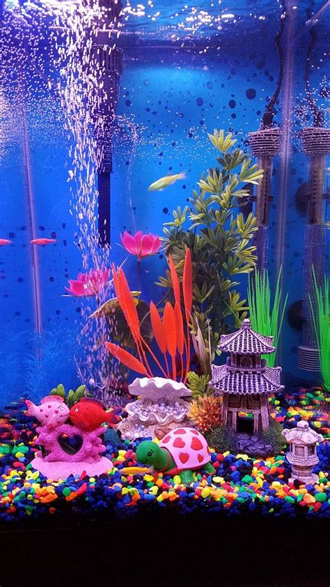 My new aquarium with glo fish | Cool fish tank decorations, Fish tank ...