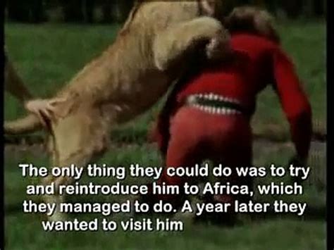 Christian the Lion Reunion As Seen on CNN - video Dailymotion