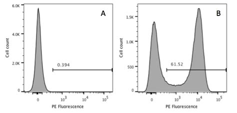 Putting Down a Marker in Flow Cytometry to Help Determine Positivity