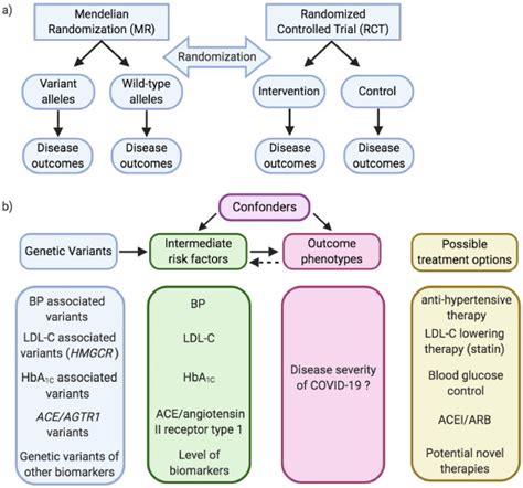 Mendelian randomization in COVID-19: Applications for cardiovascular ...