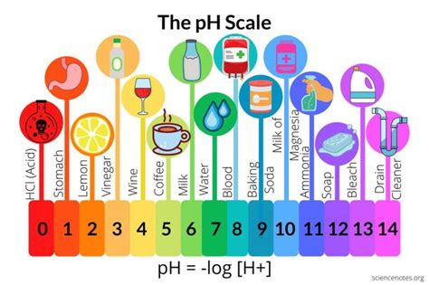 The pH Scale of Common Chemicals | Chemistry projects, Chemistry experiments, Chemistry