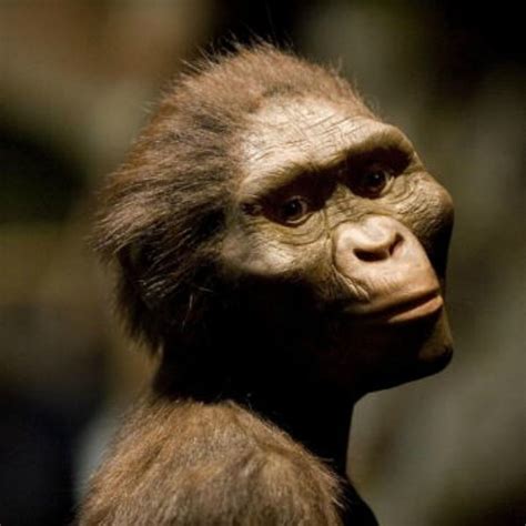 Six things you must know about Lucy, the oldest discovered hominid