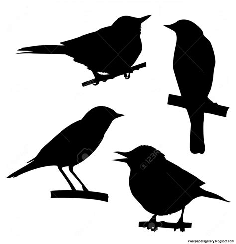 Sitting Bird Silhouette | Wallpapers Gallery