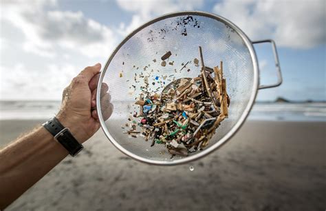 What Are Microplastics? 10 Tips on How to Prevent Microplastics