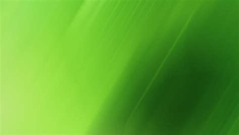 Light Green Wallpapers - Wallpaper Cave