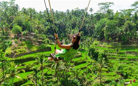 Up to 10% Off | Jungle Swing and ATV Ride in Ubud - Klook Singapore