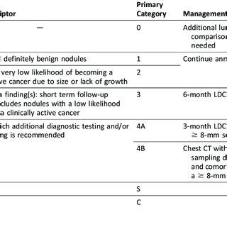 ACR Lung Rads Chart