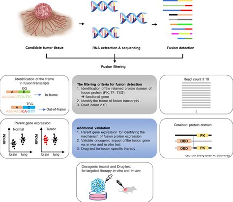 Unearthing novel fusions as therapeutic targets in solid tumors using ...