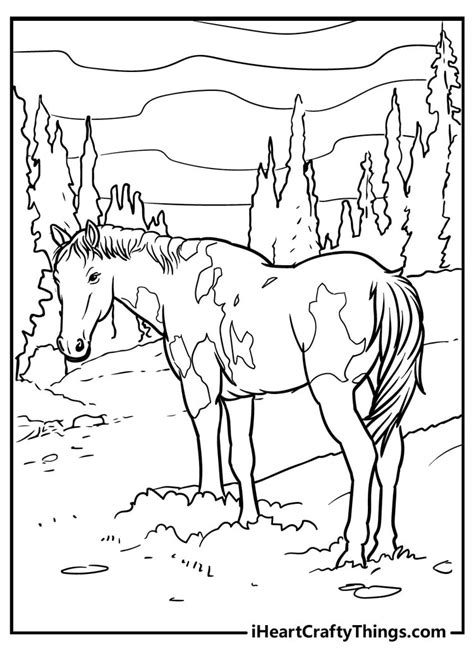 Free Horse Breeds Coloring Pages