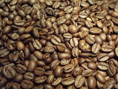 Coffee Beans Free Stock Photo - Public Domain Pictures