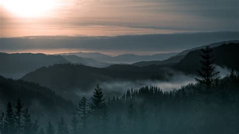 nature, Landscape, Trees, Forest, Pine Trees, Mountain, Norway, Mist, Sunrise, Hill, Clouds ...