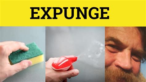 🔵 Expunge - Expunge Meaning - Expunge Examples - Formal English - YouTube