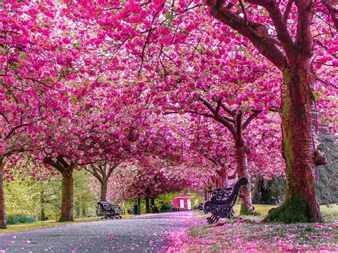 London Spring Wallpapers - Top Free London Spring Backgrounds - WallpaperAccess