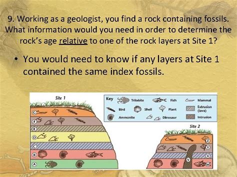 Index Fossils And Relative Dating – Telegraph